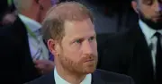 Prince Harry's Secret Plan for King Charles to Meet Archie and Lilibet