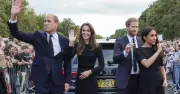 Prince William Guest Edits Country Life, Echoing Meghan Markle's Vogue Move