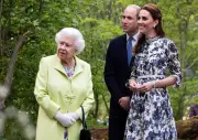 Prince William Shares Touching Tribute to Queen Elizabeth II on Digital Memorial