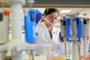 Promising Hantavirus Tools Emerge Despite Funding Gaps