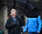 Rain Exhibition Celebrates Scotland's Wettest Obsession at National Library
