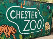 Rare Northern Giraffe Arrives at Chester Zoo for Matchmaking