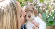 Rare Puppy Thrown in Bin and Left to Die Seeks Loving New Home in UK