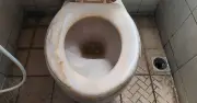 Remove brown toilet stains fast with citric acid or pumice stone