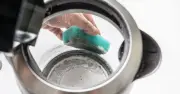 Remove Kettle Limescale with Two Cheap Ingredients: Cleaning Expert Lynsey's Hack