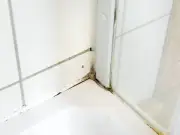 Remove Mould from Silicone Sealant with 65p Baking Soda