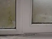 Remove Mould from Windowsills Using Two Common Kitchen Items