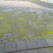 Remove patio algae in 5 mins with 2 natural ingredients
