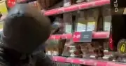 Retailers and Police Demand Faster Justice for Prolific Shoplifters