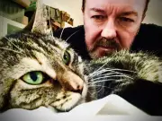 Ricky Gervais' Netflix Series Alley Cats: Cast, Plot, Release Date Revealed