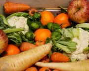 Rotisserie Chickens in Trash: Supermarket Food Waste and Worker Struggle
