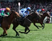 Royal Ascot 2026: Commonwealth Cup and Coronation Stakes Highlights Day Four