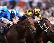 Royal Ascot 2026: Day Five Highlights and Race Results