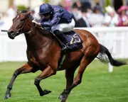 Royal Ascot 2026 Day Two: Key Races and Highlights