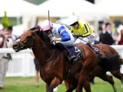 Royal Ascot 2026: Limestone Wins Queen's Vase, St Leger Possible