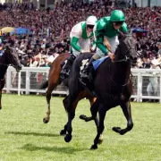 Royal Ascot Day 2 Tips: Garry Owen Backs Aidan O'Brien Double Success