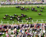 Royal Ascot Draw Bias: High Stalls Dominated, Owners Left Frustrated