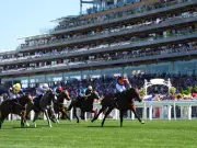 Royal Ascot Saturday Tips: Newsboy's Best Bets for Every Race