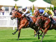 Royal Ascot Stewards Confiscate Forbidden Substances from Two Trainers