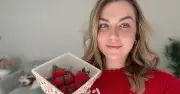 Sainsbury's Strawberry Taste Test: Budget Wins Over Premium