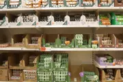 Sainsbury’s to Phase Out Brown Eggs for Lower Carbon White Eggs