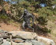 Sasquatch Sightings in Rural Ontario Reignite Debate Over Ape-Like Beast