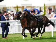 Scandinavia Strikes Gold for Aidan O'Brien's 100th Royal Ascot Winner