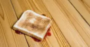 Scientists Finally Settle Debate on Five-Second Rule for Dropped Food