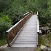 Scottish Hiker Urges People to Always Look Down When Crossing Woodland Bridges