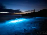 Sea Turns Mystical Blue Off Welsh Coast in Stunning Bioluminescence Display