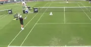 Seagull Steals Bernard Tomic's Banana, Halts Tennis Match in Dublin