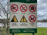 Search for missing 15-year-old boy after swimming at Testwood Lakes