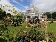 Sefton Park Palm House Show Gardens Open for 25th Anniversary