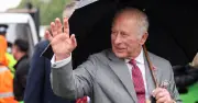 Seven Celebrities You Didn't Know Are Friends with King Charles, Including Rod Stewart