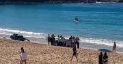 Shark Attack at Sydney's Coogee Beach Leaves Woman in Critical Condition