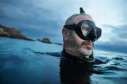 Shark Bites Rising in Australia: Experts Explain Why