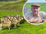 Sheep Association Fears 'Nightmare' Over NE Mayoral Authority Rebrand