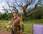 Sherwood Forest's 1,000-Year-Old Major Oak Tree Dies After Hot Summers