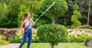 Shoppers Rave About Gtech Hedge Trimmer That 'Makes Mincemeat' of High Bushes
