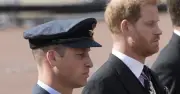 Should Prince William Forgive Prince Harry? Poll Reveals Strained Royal Relations