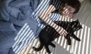 Should You Sleep with Your Pet? Experts Reveal the Risks and Benefits