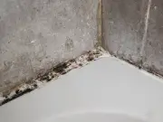 Shower grout mould 'gone in 1 hour' with two staple items, not bleach