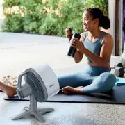 Silent Shark Fan So Good Shoppers Are Buying More for Other Rooms