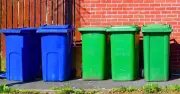 Simple June Task Keeps Wheelie Bins Smell-Free All Summer Long