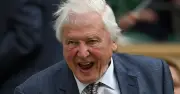 Sir David Attenborough's Quiet Life in Richmond Where Homes Cost £981k