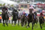 Six Arrested After Brawl at Epsom Derby Leaves Man Bloodied