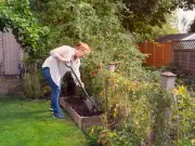 Six Flowers to Plant in July for Vibrant Summer Display, Says Dobbies