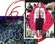 Six Great Reads: Mexico's President, Dementia Rebels, Women in China, and More