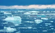 Socialist Climate Plan: Halve Work Hours, Cut Red Meat