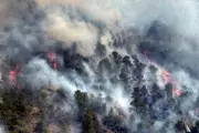 Spanish Town Faces 65ft Flames as Wildfire Engulfs Holiday Hotspot